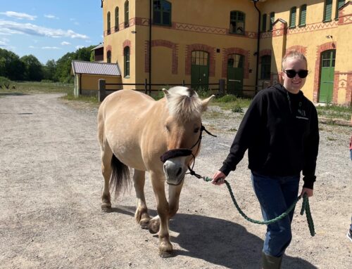 Tar du häst eller elbil till jobbet? 🐎🚗