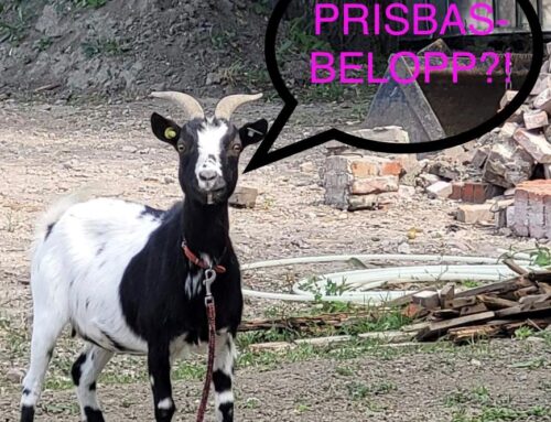 Prisbasbelopp? Vad är det?